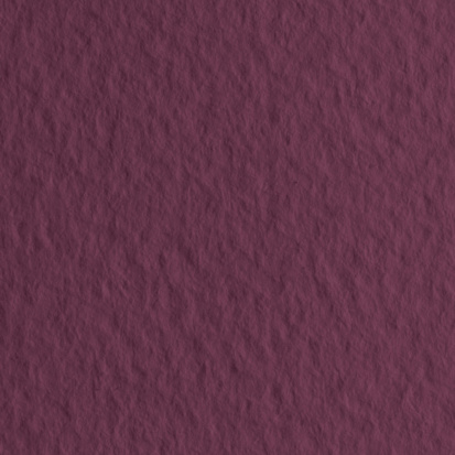 Бумага для пастели "Tiziano" 160г/м2 50x65см серо-фиолетовый 1л